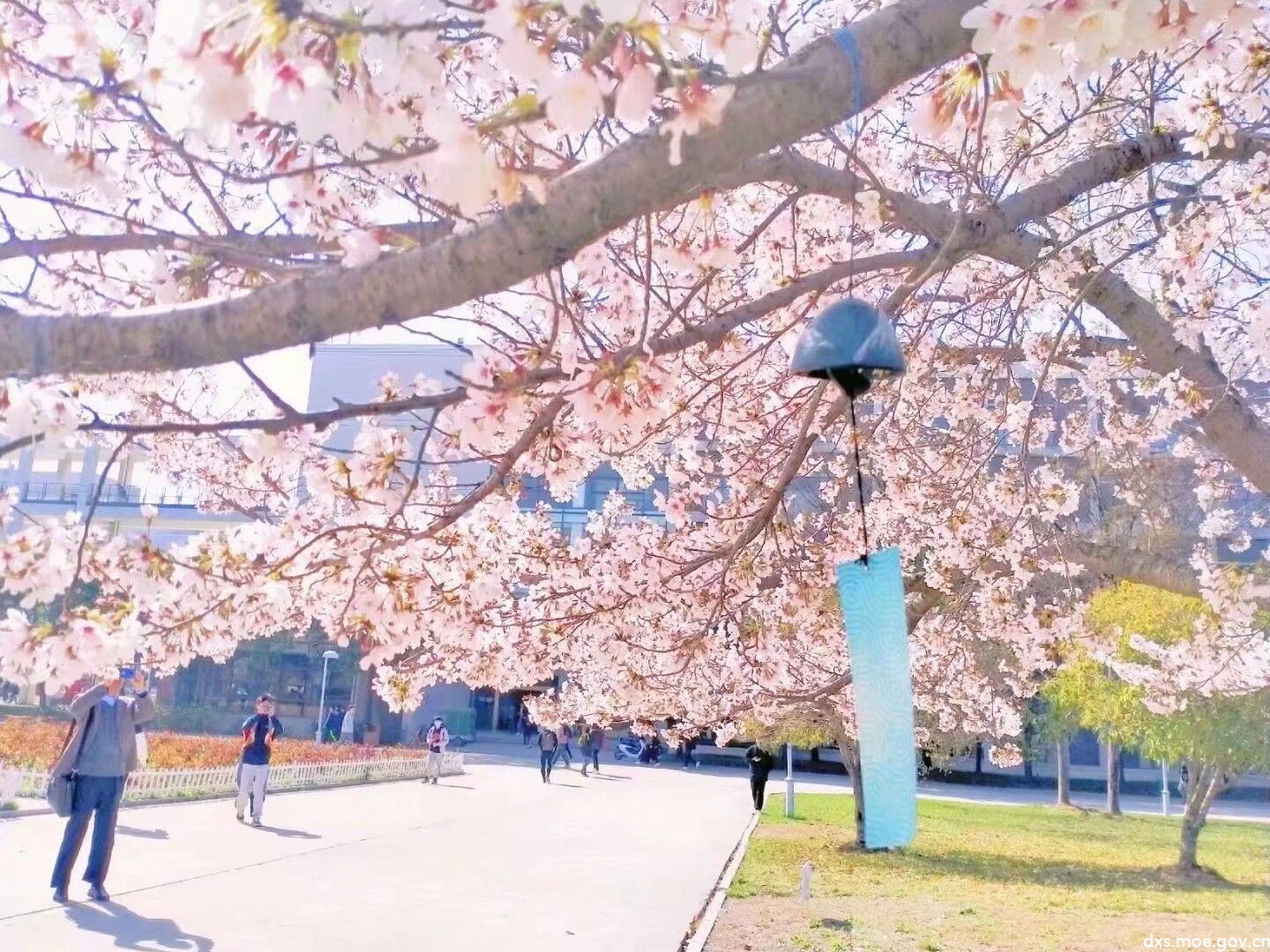 QQ圖片20210419155227.jpg